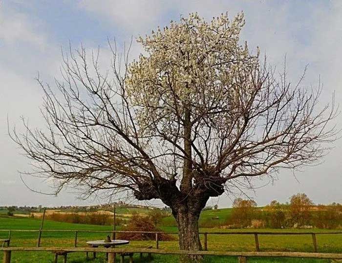 Picture 6 of Top 10 weird places that challenge scientists' ability to explain