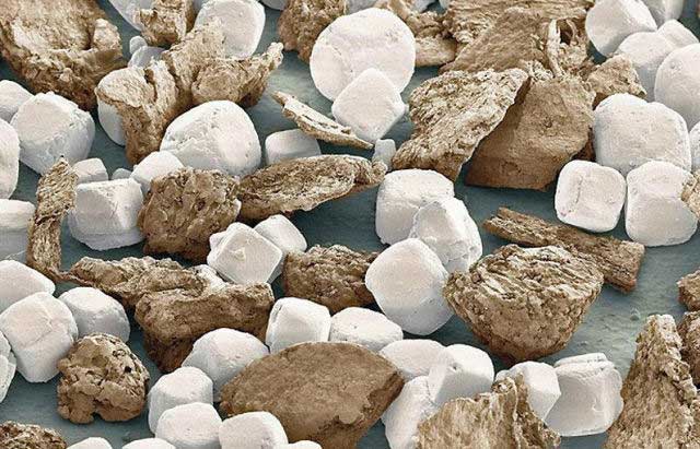 Picture 18 of Top 25 common items that look different under a microscope