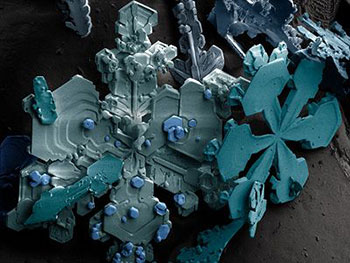 Picture 19 of Top 25 common items that look different under a microscope