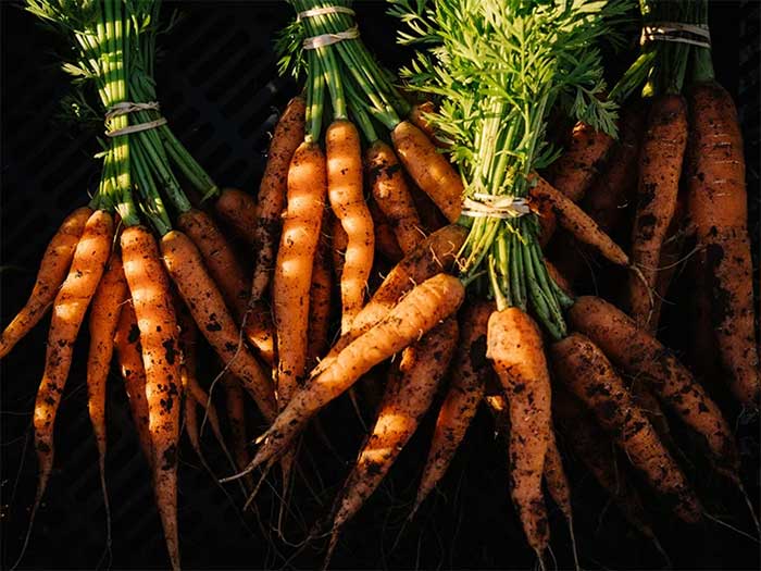 Picture 2 of Top 3 vegetables that are good for the eyes, liver, and prevent stomach diseases