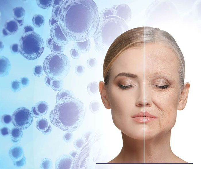 Picture 3 of Top 4 technologies that are bringing humans closer to immortality.