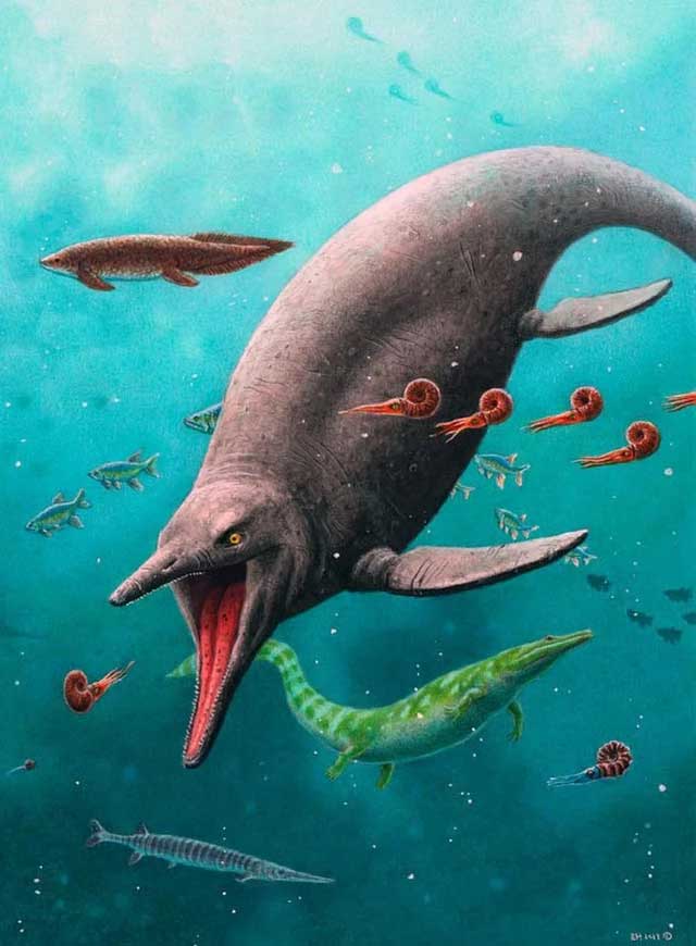 Picture 3 of Top 5 most terrifying species of 'ocean monsters' just revealed in the past year