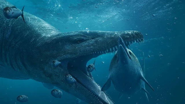 Picture 5 of Top 5 most terrifying species of 'ocean monsters' just revealed in the past year