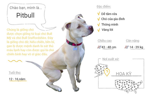 Picture 38 of Top 50 most popular dog breeds in the world