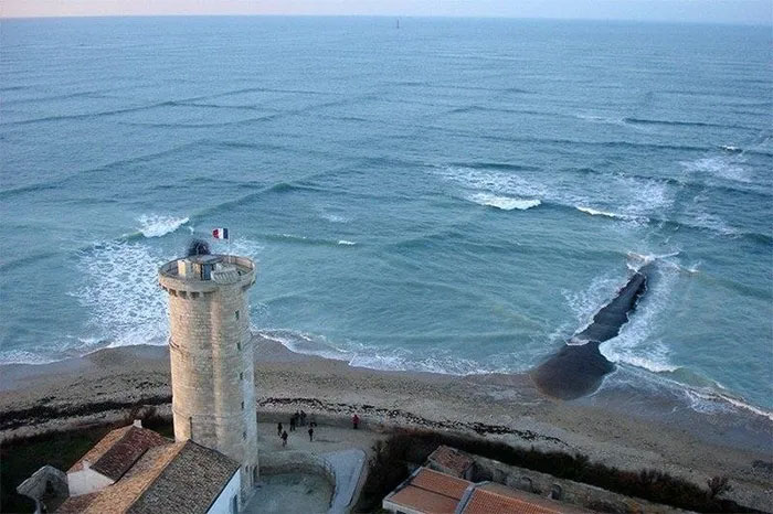 Picture 4 of Top 7 extremely rare oddities in the world