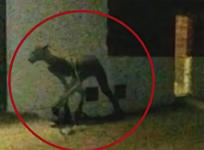 Picture 6 of Top 7 most mysterious and terrifying moments waiting for humans to decode