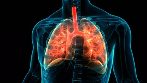 Top 7 most terrifying infectious diseases in human history Picture 1