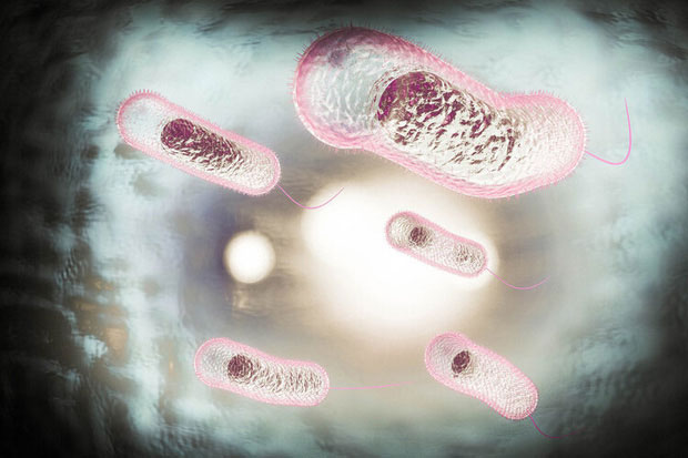 Top 7 most terrifying infectious diseases in human history Picture 2