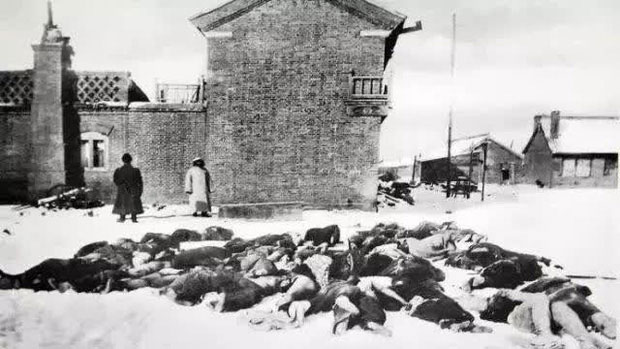 Top 7 most terrifying infectious diseases in human history Picture 5