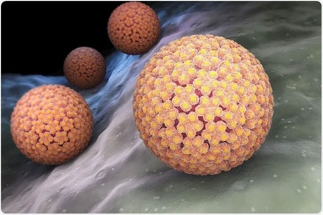 Picture 2 of Top 7 Viruses That Can Lead to Cancer You Should Know