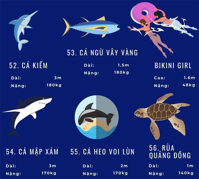 Picture 13 of Top 72 largest marine animals in the world