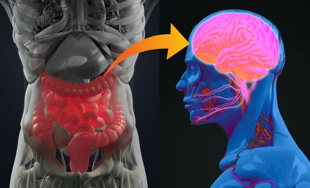 Picture 2 of Top 8 body parts that hide many interesting things that even you yourself don't know