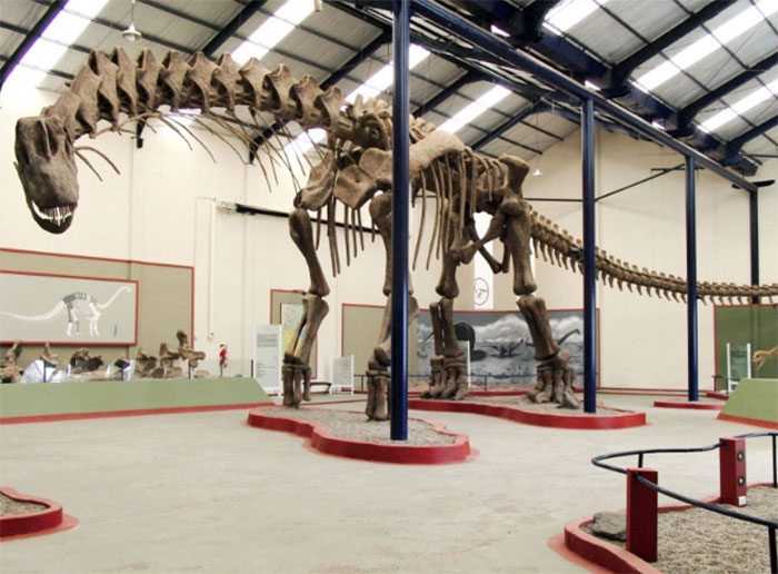 Picture 3 of Top 8 largest dinosaurs on prehistoric Earth