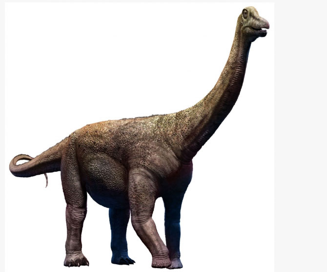 Picture 4 of Top 8 largest dinosaurs on prehistoric Earth