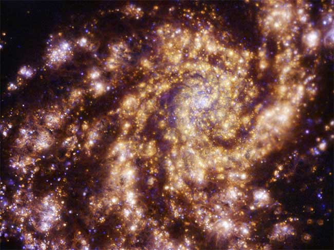 Picture 1 of Traveling through time 55 million years, a world similar to ours has materialized.