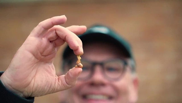 Picture 1 of Treasure hunter discovers strange gold nugget