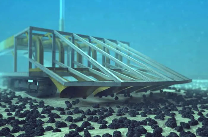 Picture 1 of Treasures under the sea 4000m . deep