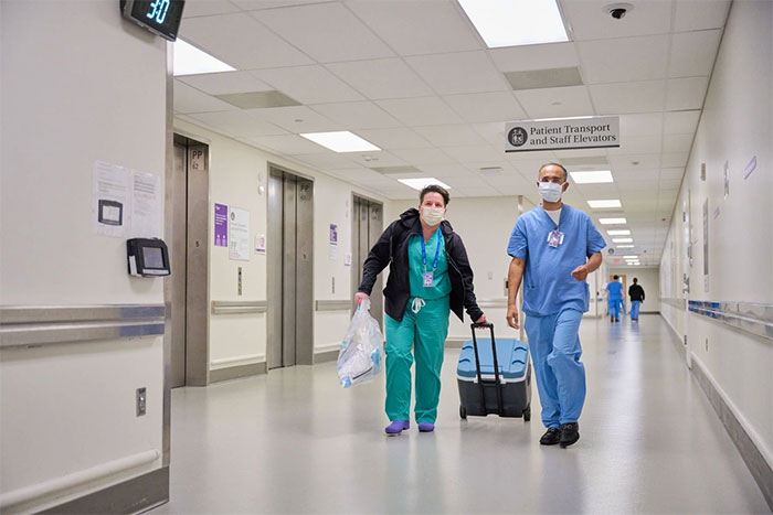 Two brain dead people receive pig heart transplants Picture 3