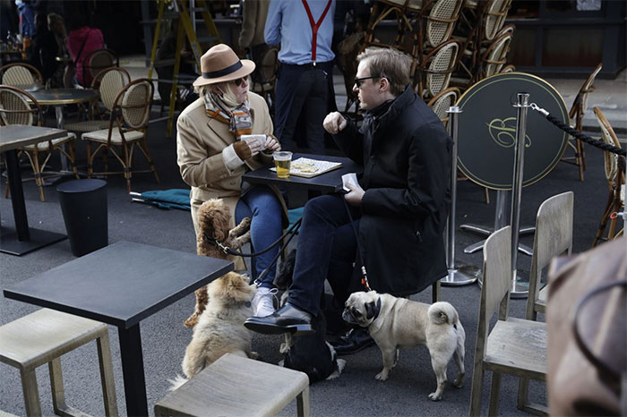 Picture 2 of UK Covid-19 variant B.1.1.7 may mutate through dogs