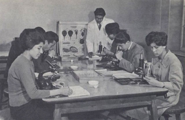 Picture 25 of Unbelievable images more than half a century ago of a beautiful and modern Afghanistan
