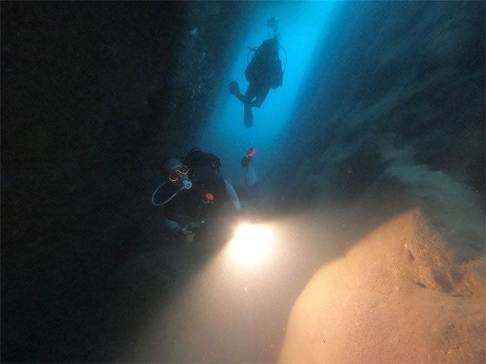 Picture 1 of Unique creatures at the bottom of Van Phong Bay