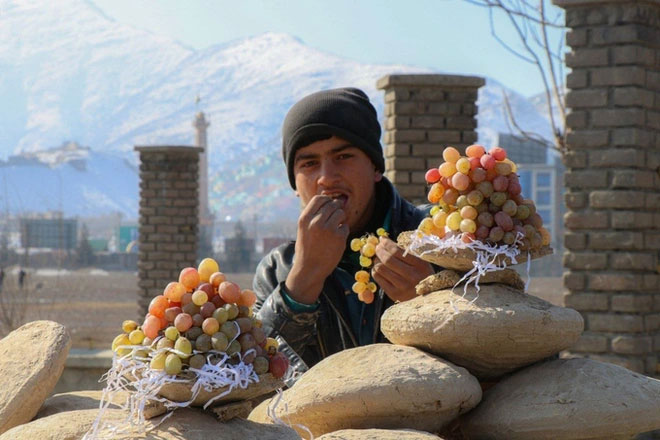Unique method of preserving fresh grapes for up to 6 months by Afghans Picture 2