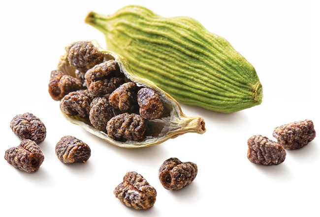 Picture 5 of Unique spice top 3 most expensive in the world, takes at least 2 years to bear fruit, Vietnam has a lot