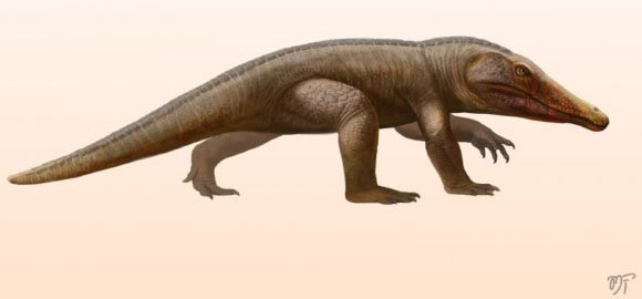 Picture 2 of Unknown monsters of the world revealed in 2022