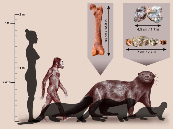 Picture 5 of Unknown monsters of the world revealed in 2022