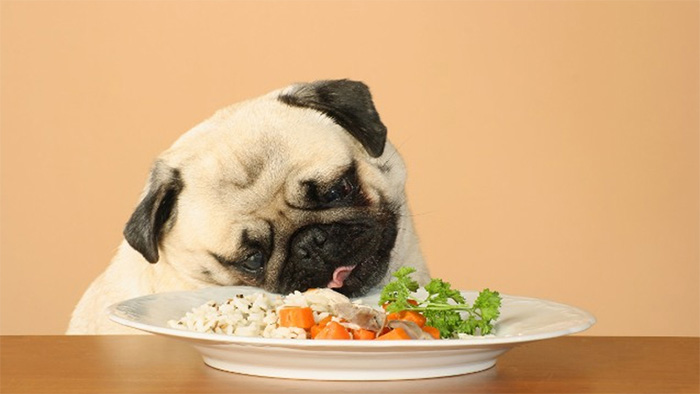 Picture 2 of Very simple way to calculate dog age