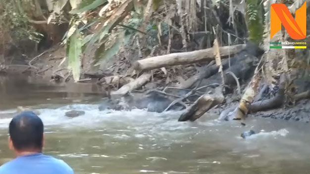 Picture 1 of Video: Strange creature crossing river causes tour boat to suddenly halt in the Amazon rainforest.
