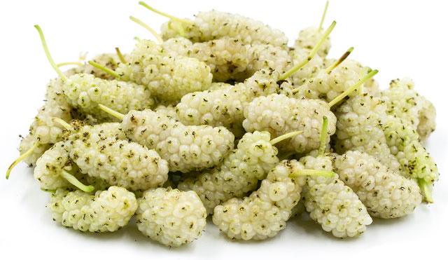 Picture 1 of Vietnam has a precious plant rich in vitamin C, which helps control blood sugar and nourish the liver effectively
