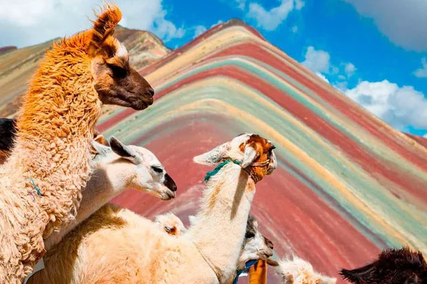 Picture 5 of Vinicunca Mountain: The wonder is so beautiful that it is called the most surreal 'rainbow' on the planet