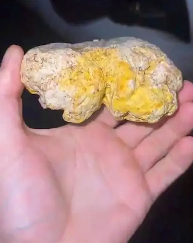 Picture 1 of Walking his dog, a man found 'floating gold' on the beach