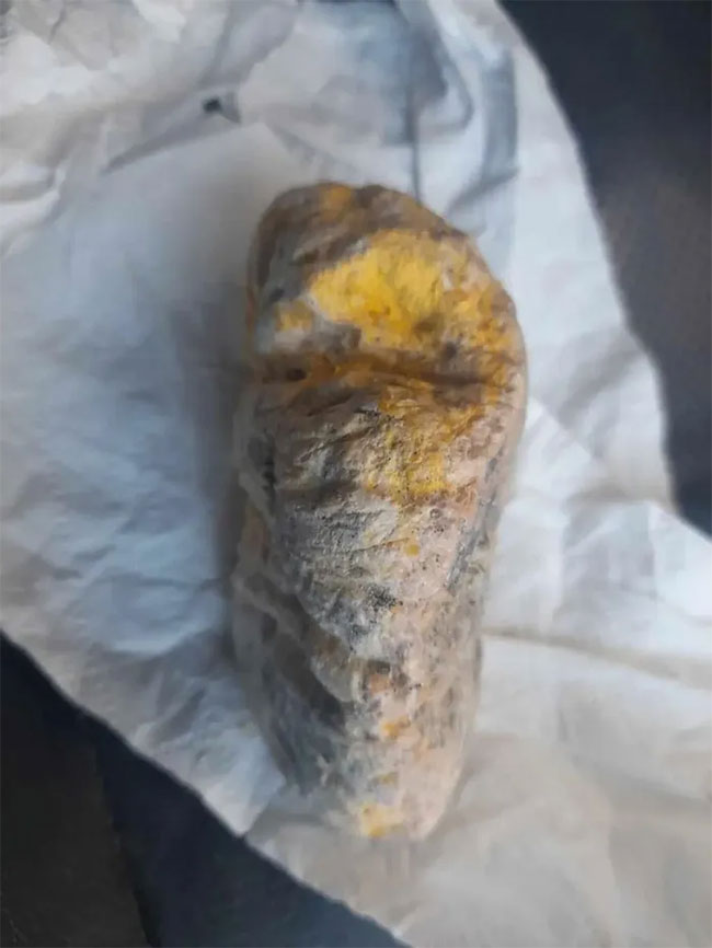 Picture 2 of Walking his dog, a man found 'floating gold' on the beach