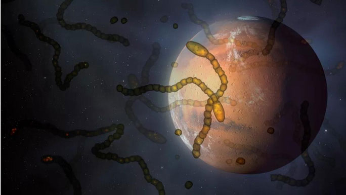 Picture 1 of Warning aliens follow spacecraft to Earth?