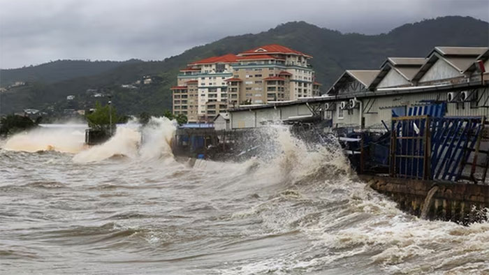 Warning of 'malignant tide' threatening millions Picture 1