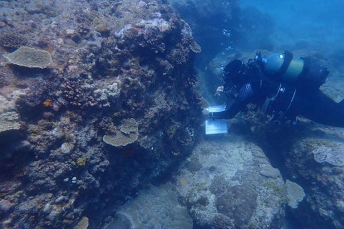 Picture 1 of West Indies Pacific reef in danger of collapsing
