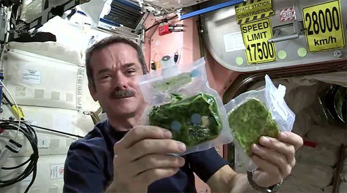 Picture 1 of What do astronauts eat on multi-year missions?