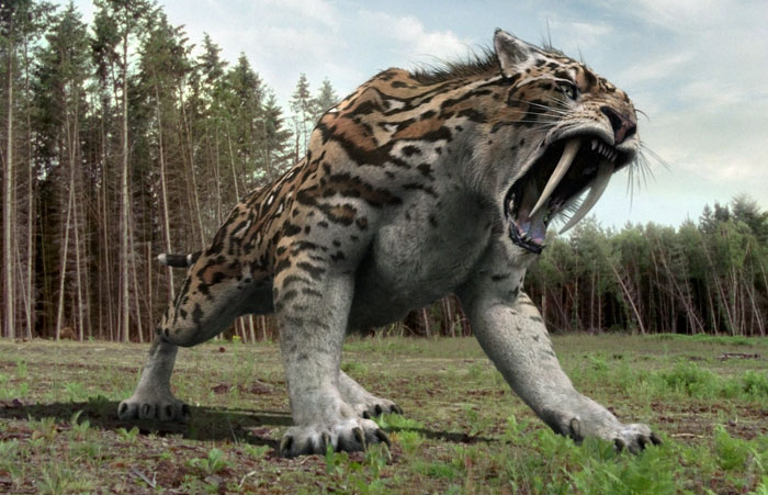 Picture 1 of What if saber-toothed tigers still existed today?