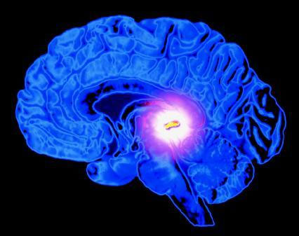 What is DMT? Does it really have the spiritual benefits that many people think? Picture 3