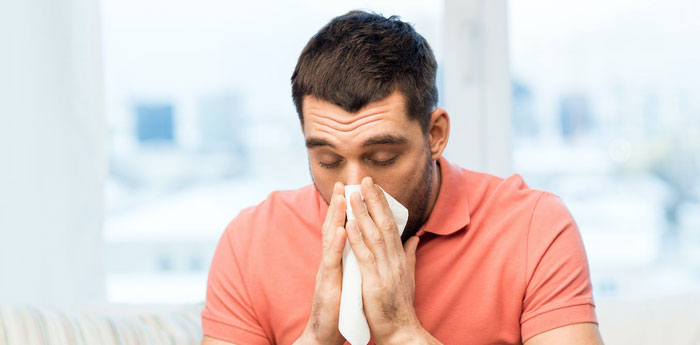Picture 2 of What is H3N2 flu?
