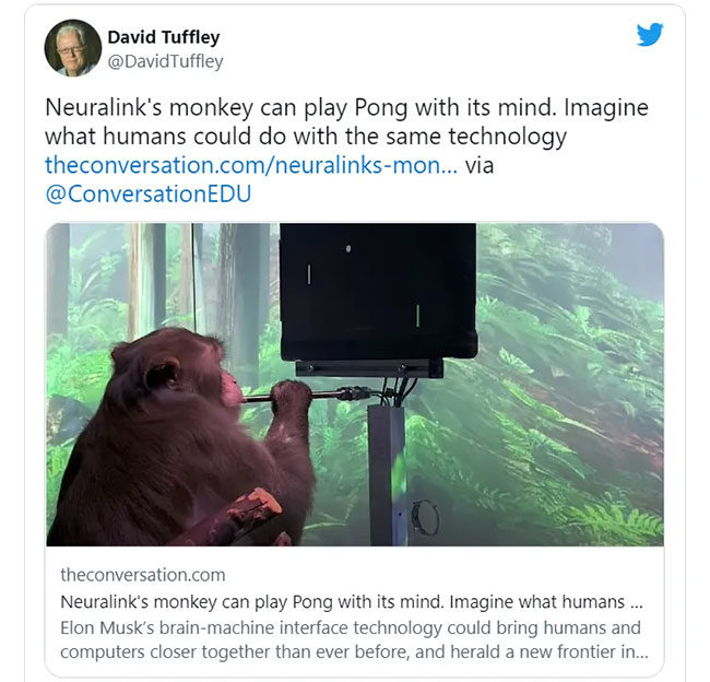 Picture 3 of What is Neuralink? Can Neuralink 'cure' tinnitus as Elon Musk claims?