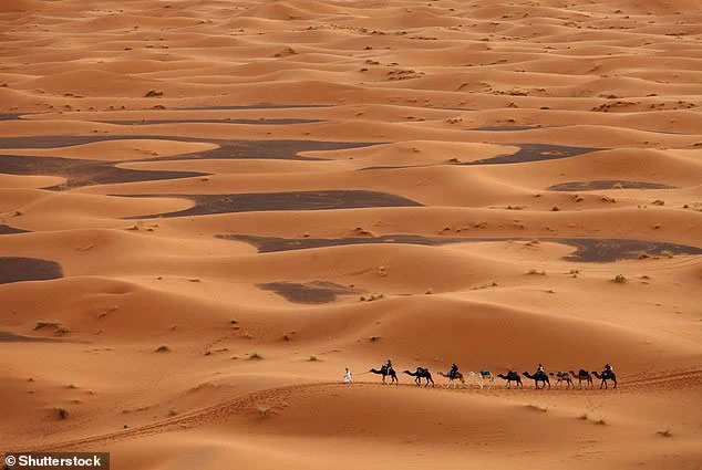 Picture 2 of What is so scary about the longest road in the world that no one dares to go all the way?
