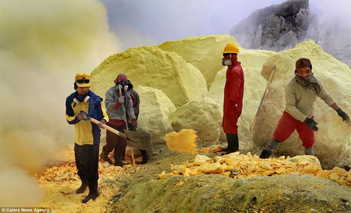 Picture 2 of What is special about the 'gold' in this volcano that makes hundreds of workers risk their lives to get it?
