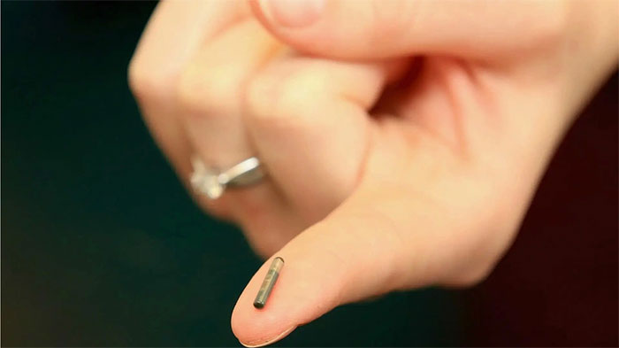 What is the effect of attaching a chip to cats and dogs, and how does it work? Picture 1