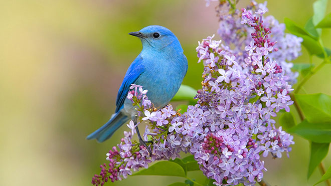 Picture 2 of What is the Spring Equinox?