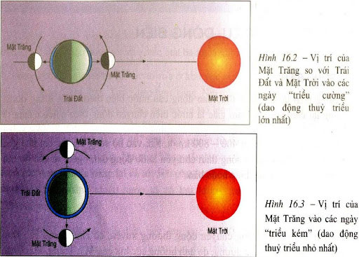 Picture 1 of What is the tidal phenomenon?
