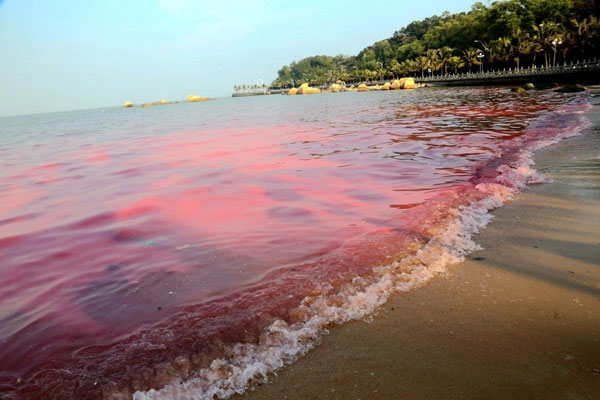 Picture 4 of What is the tidal phenomenon?