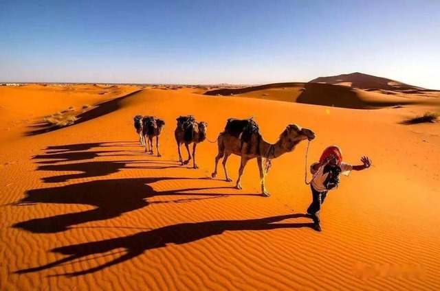 Picture 4 of What lies beneath the thick sands of the Sahara desert in Africa?